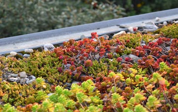 the cost of North Ayrshire green roof installation
