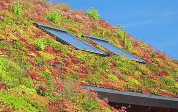 North Ayrshire living roof systems